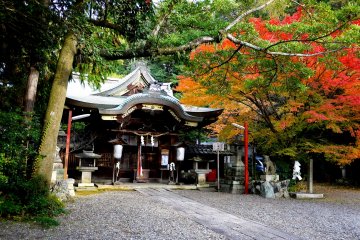 <p>The main hall of the shrine is very pretty</p>