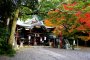 Awata Shrine in Autumn