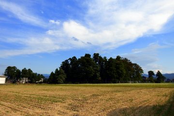 <p>Anrakuji Temple stands in a rice field, in the middle of nowhere</p>