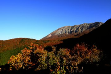 Autumn at Mt. Daisen's Beech Forest