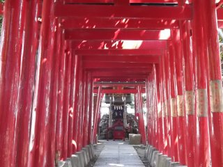 Sebuah lorong gerbang torii yang mengarah ke sebuah kuil samping