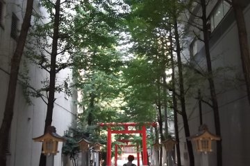 The walk from Yasukuni-dori to the shrine grounds