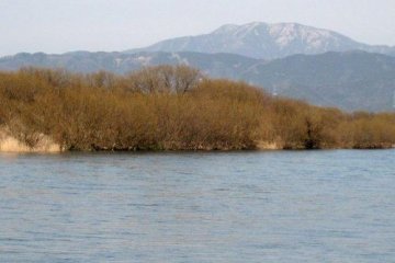 이른 봄 3월의 구즈류가와 기슭은 아직 갈색 풀도 남아 있다