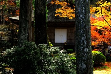 Autumn Colors of Ohara Sanzen-in: 1