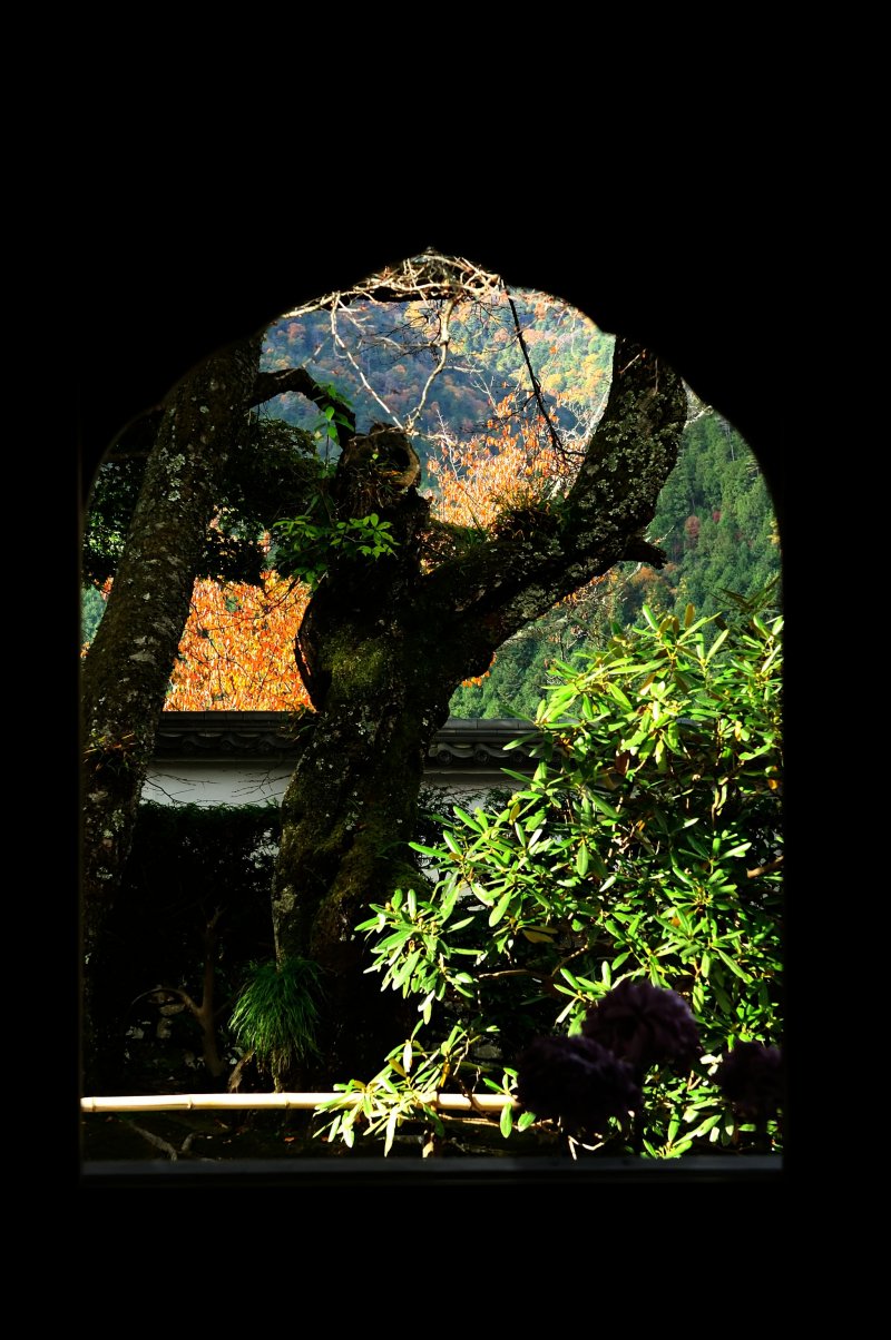 <p>Small window of &#39;Guest Hall&#39;: I always look out this window</p>