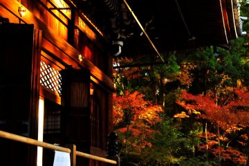 Autumn Foliage of Eikando, Kyoto: 1