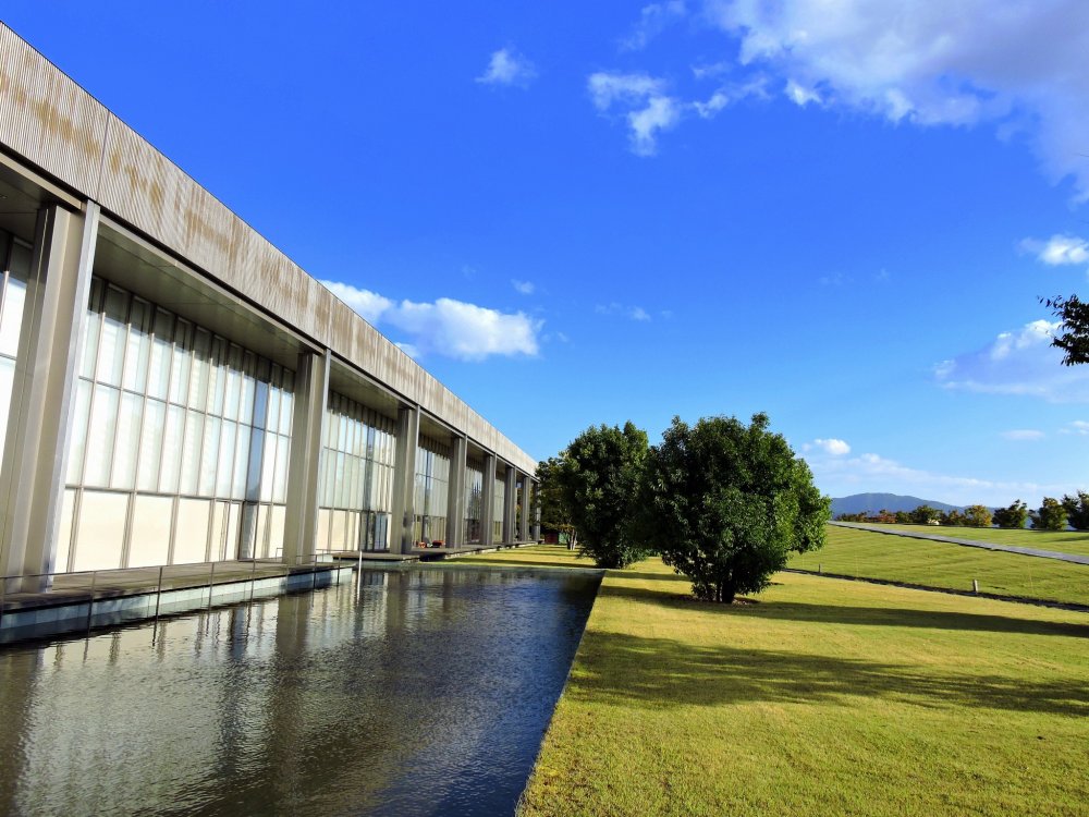 Ao và bãi cỏ xinh đẹp xung quanh thư viện, bạn có thể đi dạo trong khu vườn rộng lớn này