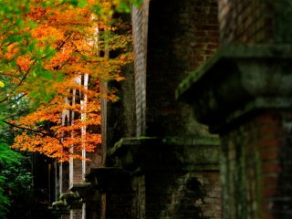 Red brick canal tunnel at the entrance of Nanzenji Temple adds a foreign air to this otherwise Japanese locale