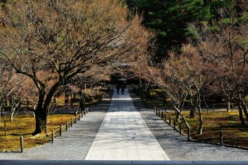 <p>Stone-paved path leading to Hatto Hall</p>