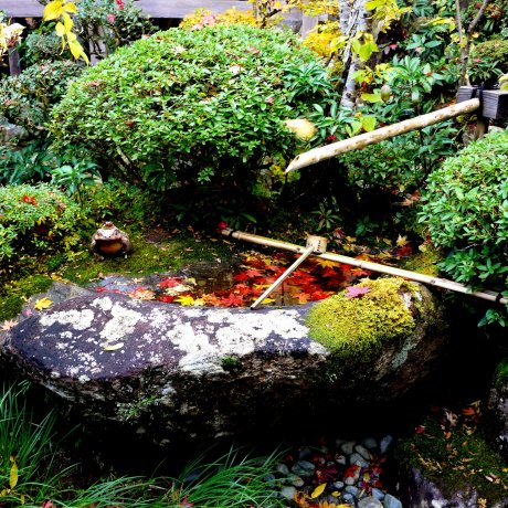 Ao nước và khu vườn ở chùa Kongorin