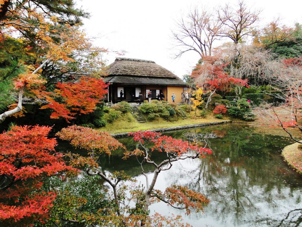 Part of the Katsura Imperial Villa is framed by autumn color