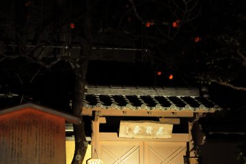 <p>Persimmon peeping in the dark above the closed gate</p>
