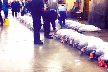 <p>Some people are checking the auctioned tuna</p>
