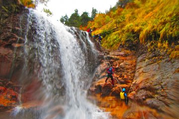 <p>Descending a cascade over 20 meters in height.</p>