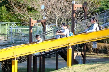 <p>Parents can enjoy the jungle gym with their small children, too!</p>