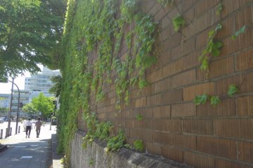 King is surrounded by an outer wall that is covered with ivy.