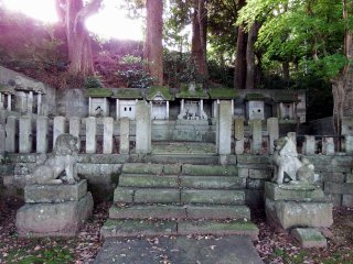 綺麗に整列する白山神社の祠たち