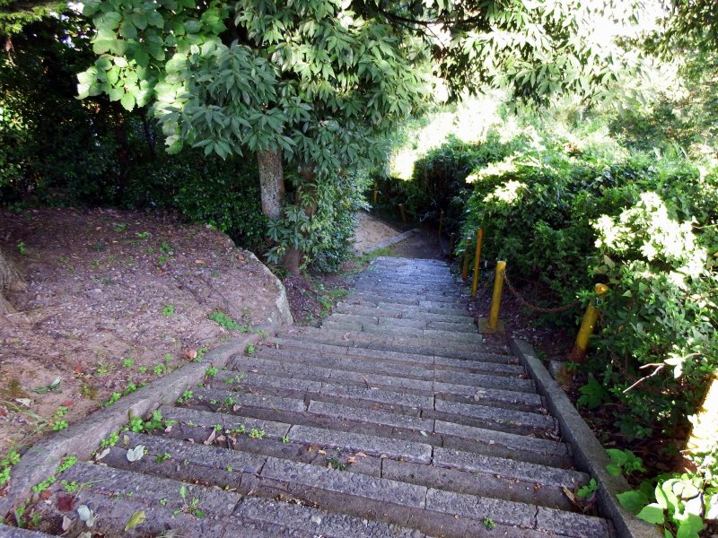 <p>From Fujishima Shrine, located halfway up the mountain, you should go down the long stone steps to reach Kurotatsu Shrine</p>