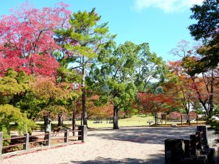 The colorful park