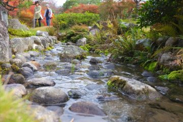 <p>Enjoy the beautiful scenery and hear the relaxing sound of the stream as you walk around the garden</p>