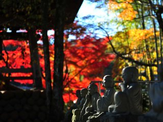 Pemandangan menakjubkan dari salah satu kuil tertua di Jepang, saking tuanya kuil ini telah menyaksikan takdir klan Genji dan Hojo.
