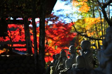 <p>Admirable view of one of the oldest temples in Japan, so old it once watched over the destiny of the Genji and Hojo clans.</p>