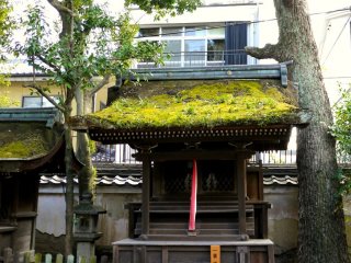 The roof of this small shrine has a heavy coat of moss