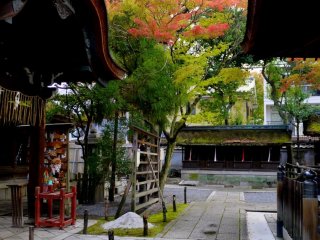 Looking along a path between shrine buildings