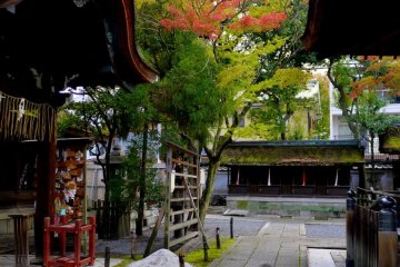 <p>Looking along a path between shrine buildings</p>