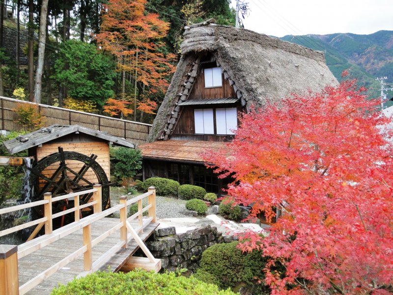 <p>The Banko-an House at Gassho Mura, surrounded by fall foliage</p>