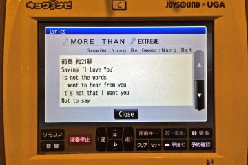 <p>You can review lyrics before adding a song to your playlist</p>