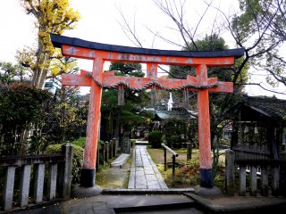 Cổng torii ở lối vào một ngôi đền mà tôi thậm chí không thể tìm thấy trên Google Maps!