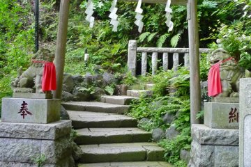 Torii gate and lion dog guardians mark a path