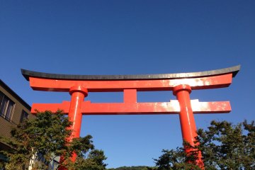 The vivid&nbsp;red of the Torii Gate is so beautiful!