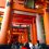 Os Torii de Fushimi Inari Taisha