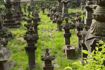 Within the walls here are 40 Hokyo-into, 1Gorinto, 13 other monuments, 4 Buddha statues, 118 garden lanterns, 17 washbasins and 9 Jizo statues. 
