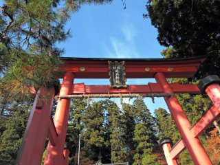 青空の下聳え立つ、岡太神社の赤鳥居