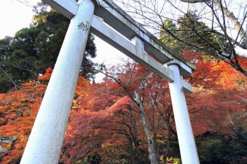 <p>Stone torii standing at the entrance to Okafuto Shrine from Kakyo Park</p>