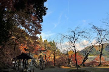 <p>Colorful autumn leaves and bare trees under the blue sky, viewed from the grounds of Okafuto Shrine</p>