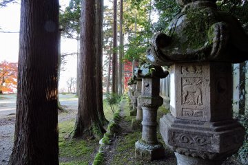 <p>Mossy stone lanterns line the pathway to the main hall of Okafuto Shrine</p>