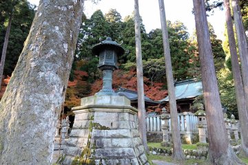 <p>Bronze lantern surrounded by tall cedar trees</p>