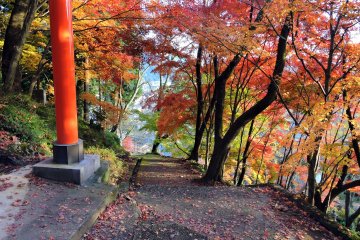 <p>The pillar of red torii beside the pathway bordered by colorful maple leaves</p>