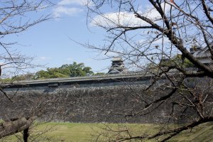 กำแพงหินอันสูงชันเป็นปราการสำคัญของอาณาเขตปราสาทคุมาโมโต้ที่ได้รับการออกแบบอย่างดีเยี่ยม