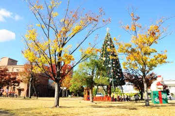 <p>Enjoy the Christmas&nbsp;joy early in Japan</p>