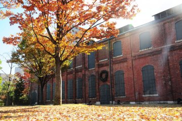 <p>Reddish color of the tree complementing the &quot;Red Brick Building&quot;</p>