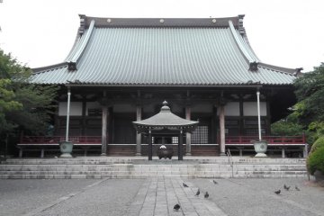 Yugyoji Temple in All Its Splendor