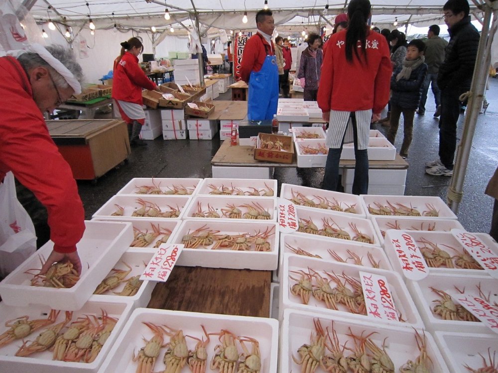 三国温泉カニ祭りでは採れたてのゆでガニが市価より割安で販売されている