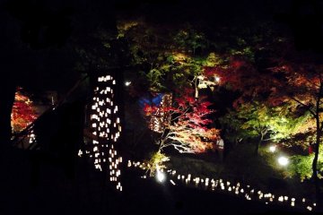 <p>The lanterns bring out the autumn colors of the trees at night.</p>