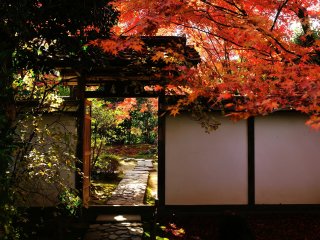 Voici l&#39;entr&eacute;e de Basho-an, o&ugrave; Matsuo Basho rendait visite &agrave; son ami Tesshu, le moine sup&eacute;rieur du temple &agrave; cette &eacute;poque-l&agrave;
