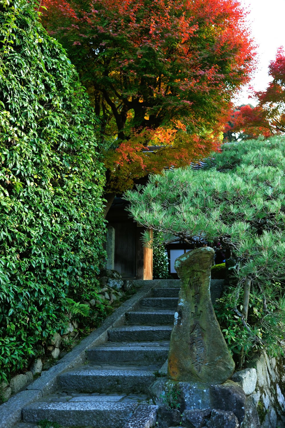 Bạn có lẽ sẽ bỏ sót cổng chính vào chùa Kopukuji này nếu bạn không để ý, vì nó khá nhỏ và giản dị